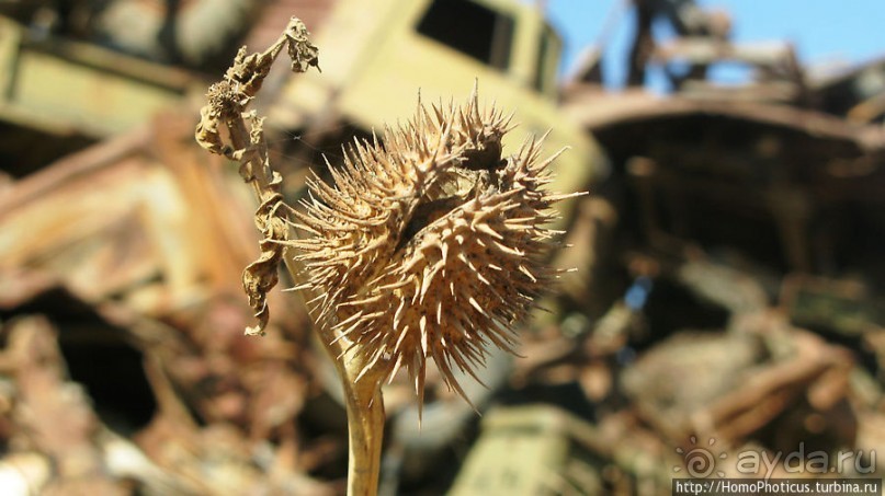 Кладбище танков