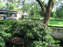 В протоках Меконга