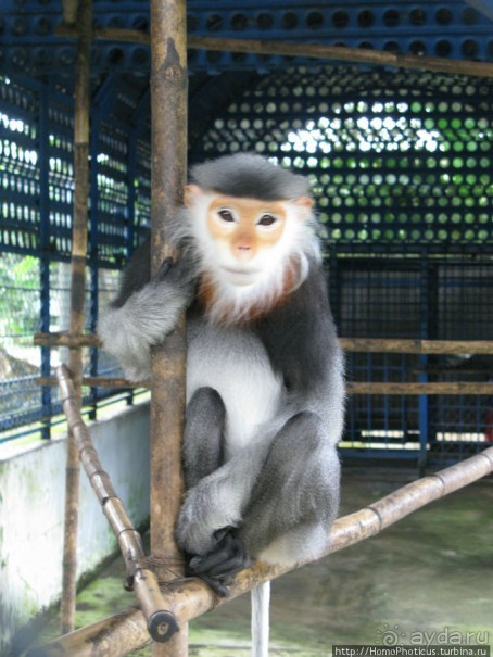 В протоках Меконга