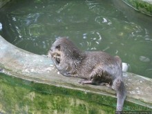 В протоках Меконга