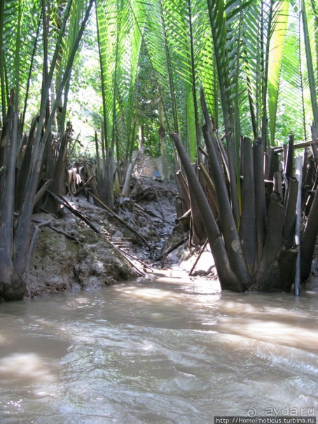 В протоках Меконга