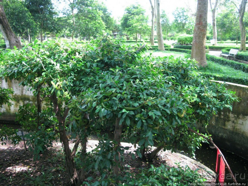 В протоках Меконга