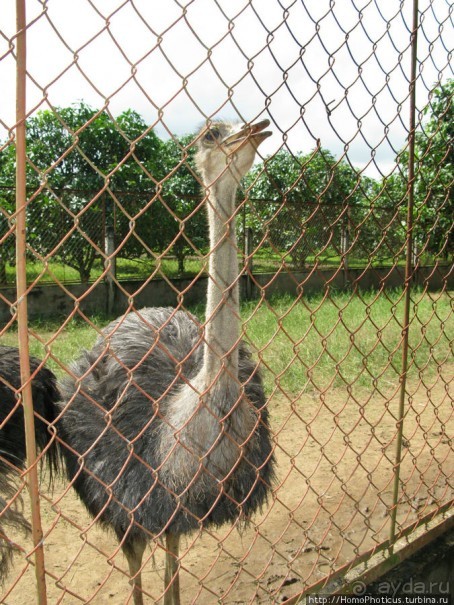 В протоках Меконга