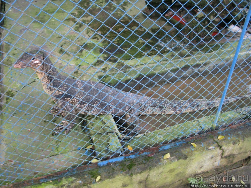 В протоках Меконга