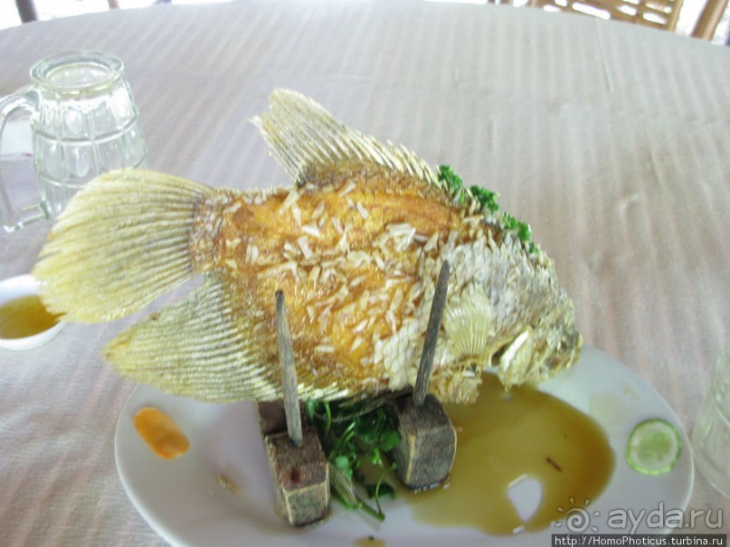 В протоках Меконга