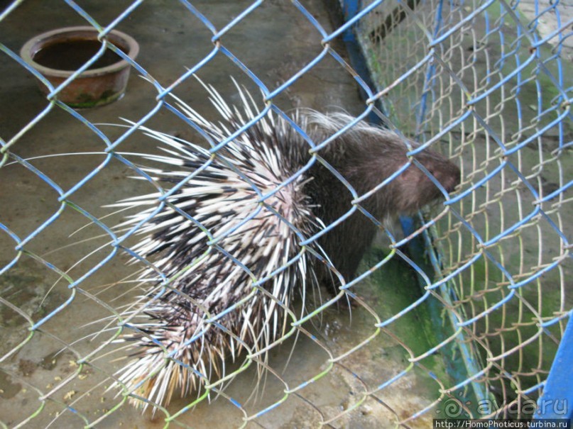 В протоках Меконга