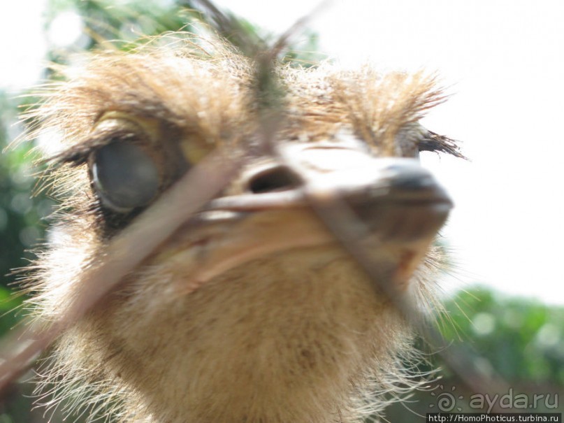 В протоках Меконга