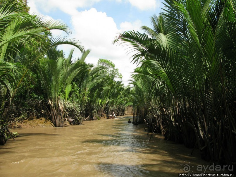 В протоках Меконга