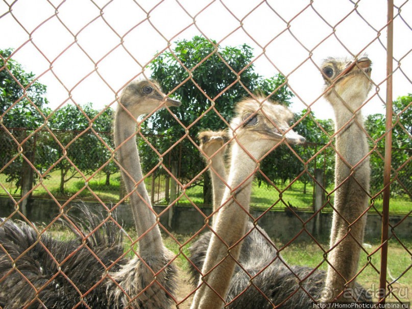 В протоках Меконга