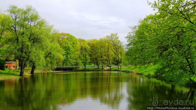 День Победы в Калининграде и Балтийске