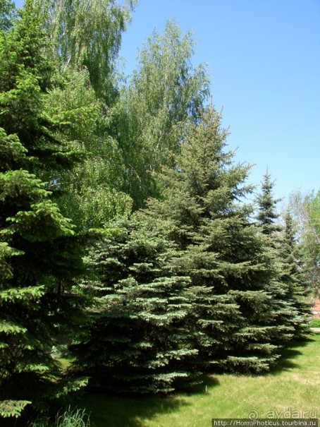 Зеленая Самара, Великая Волга