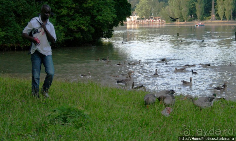 Зеленый Мюнхен