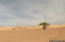 Альбом отзыва "Пересекая Сахару"