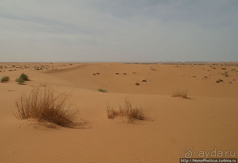 Пересекая Сахару