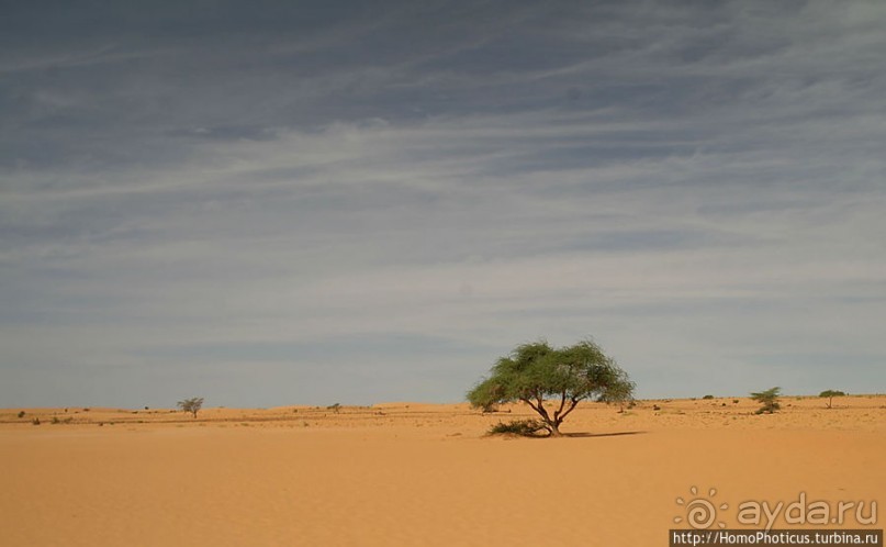 Пересекая Сахару