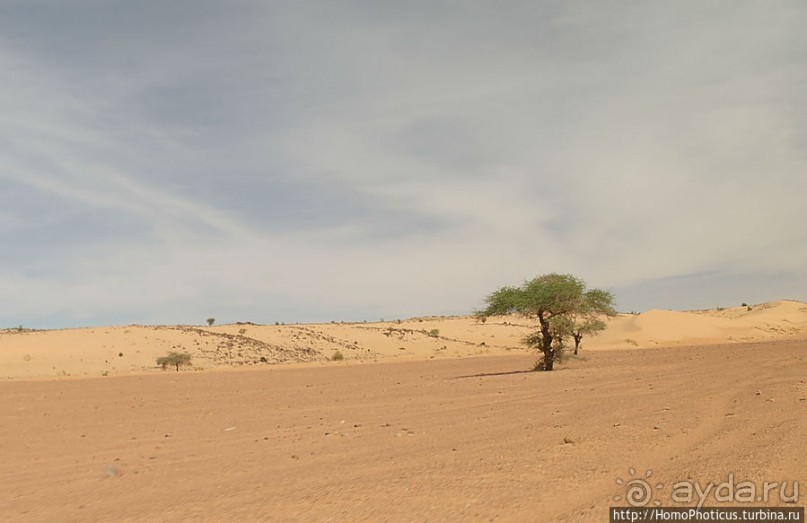 Пересекая Сахару