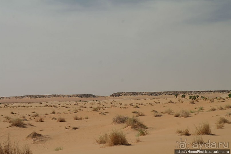 Пересекая Сахару