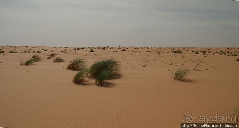 Пересекая Сахару