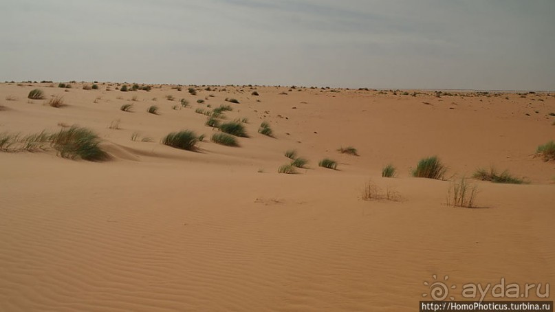 Пересекая Сахару