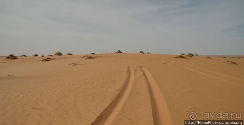 Пересекая Сахару