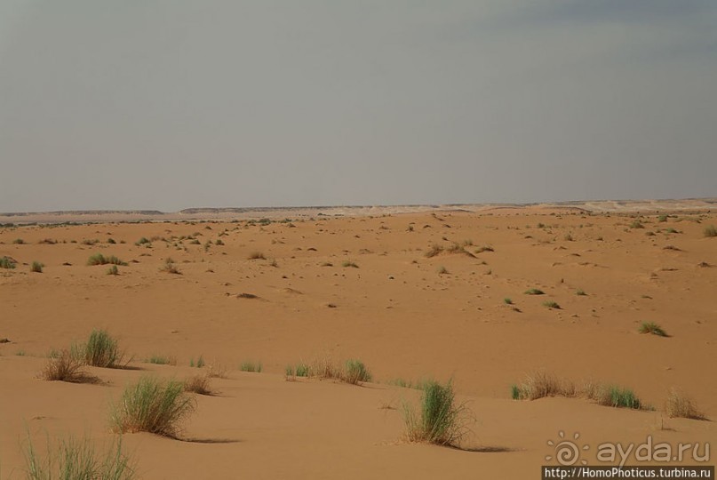 Пересекая Сахару