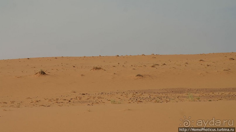Пересекая Сахару