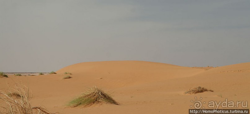 Пересекая Сахару