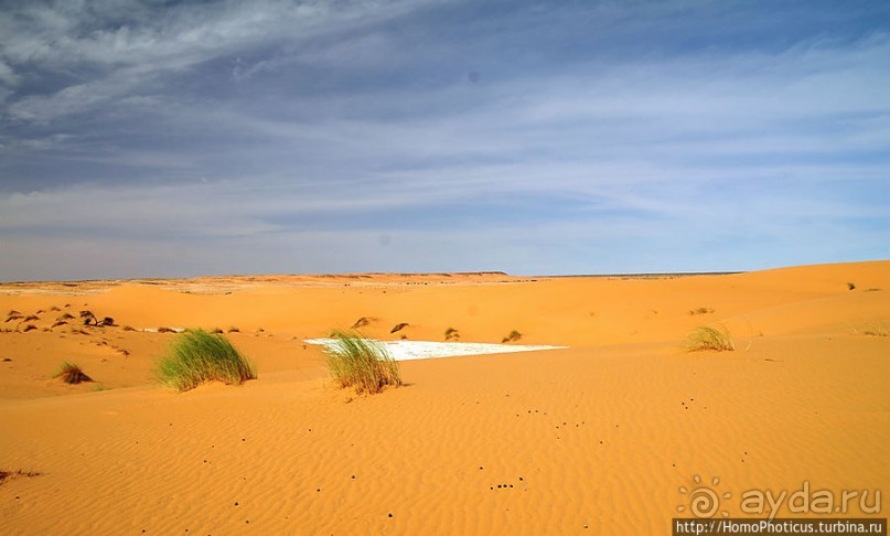 Пересекая Сахару