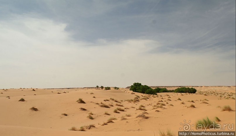 Пересекая Сахару