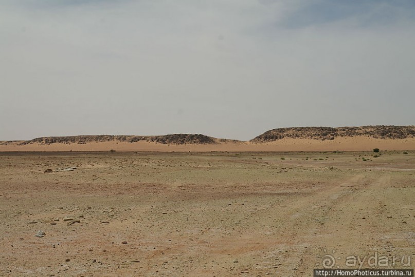 Пересекая Сахару