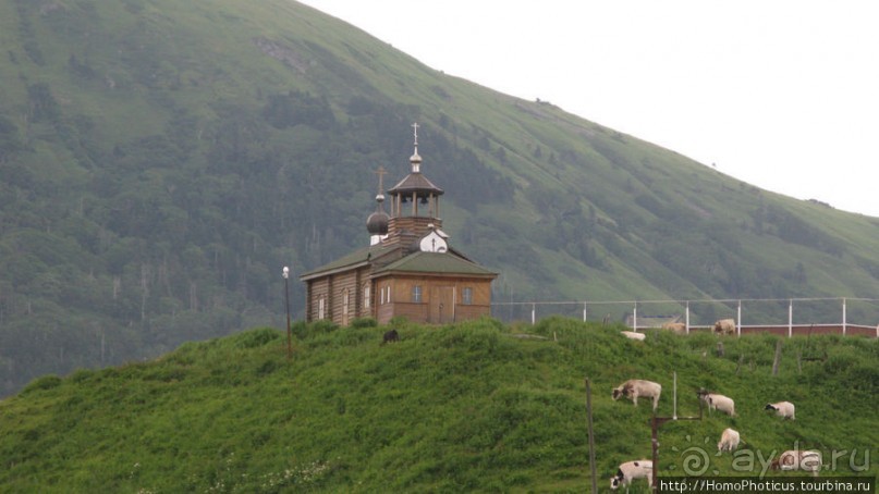 Игорь Фархутдинов: человек и теплоход. Южные Курилы.