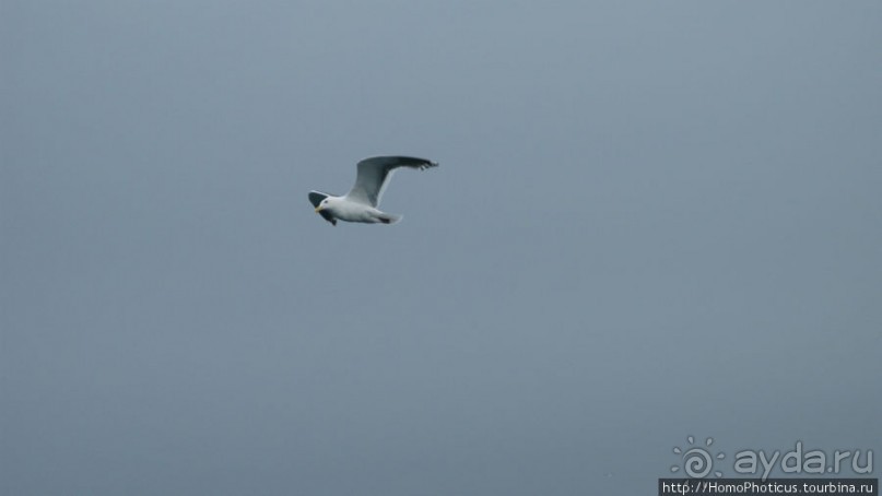 Игорь Фархутдинов: человек и теплоход. Южные Курилы.