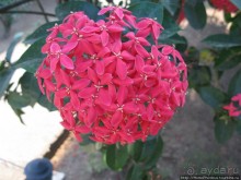 Старейший город Центральной Америки на берегу сладкого моря