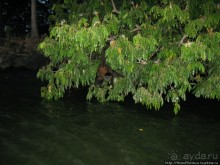 Старейший город Центральной Америки на берегу сладкого моря