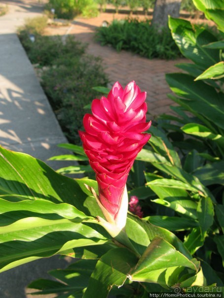 Старейший город Центральной Америки на берегу сладкого моря