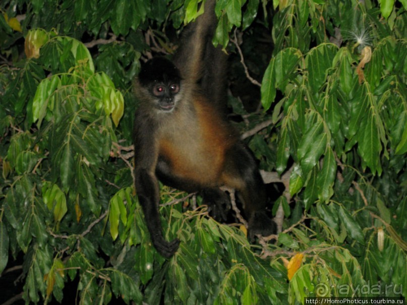 Старейший город Центральной Америки на берегу сладкого моря