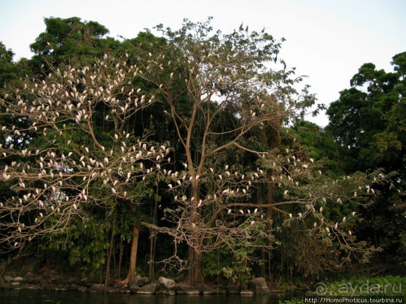 Старейший город Центральной Америки на берегу сладкого моря
