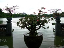 Вьетнамское междуречье