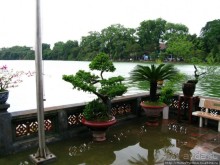 Вьетнамское междуречье