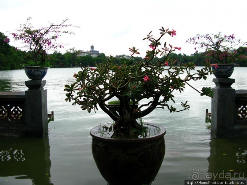 Вьетнамское междуречье