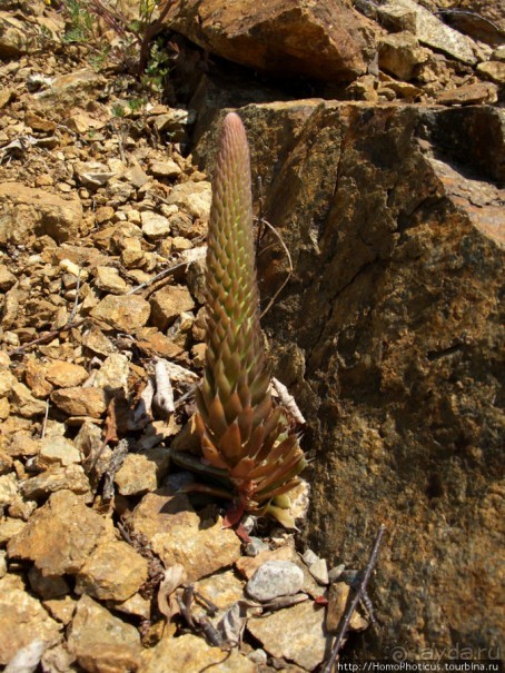 Знакомство с Байкалом. Исток Ангары.