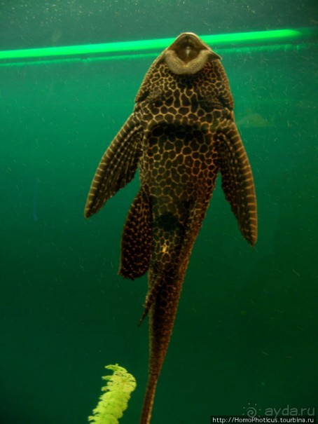 Знакомство с Байкалом. Исток Ангары.