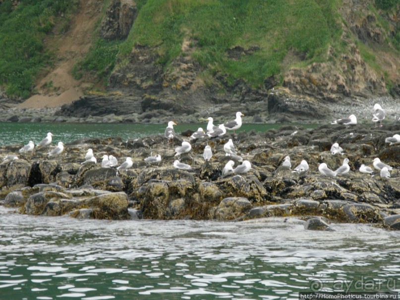 Петропавловск-Камчатский и Авачинская бухта