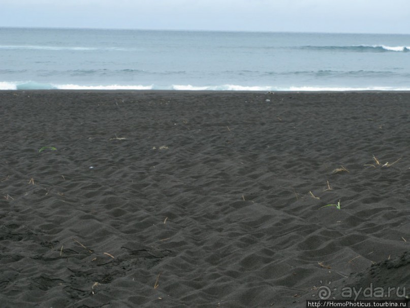 Петропавловск-Камчатский и Авачинская бухта