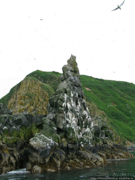 Петропавловск-Камчатский и Авачинская бухта