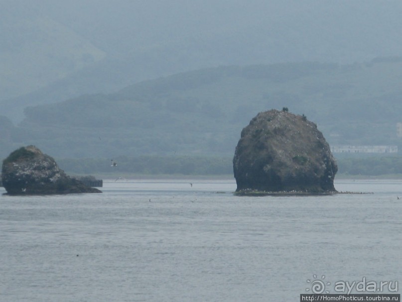 Петропавловск-Камчатский и Авачинская бухта