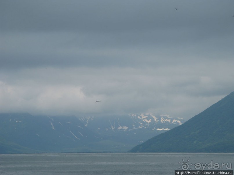 Петропавловск-Камчатский и Авачинская бухта