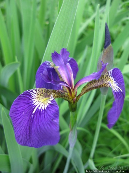 Петропавловск-Камчатский и Авачинская бухта