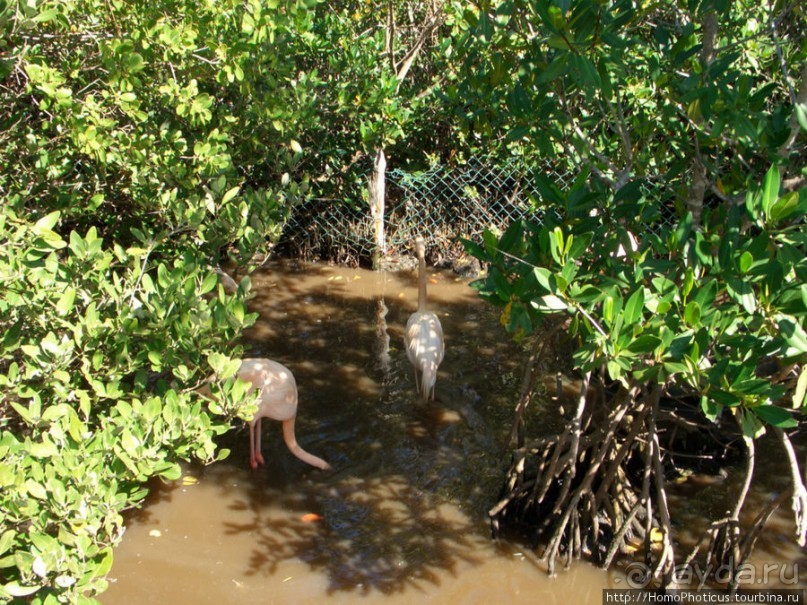 Варадеро: внутри и вокруг