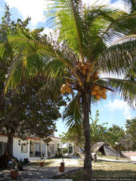 Варадеро: внутри и вокруг
